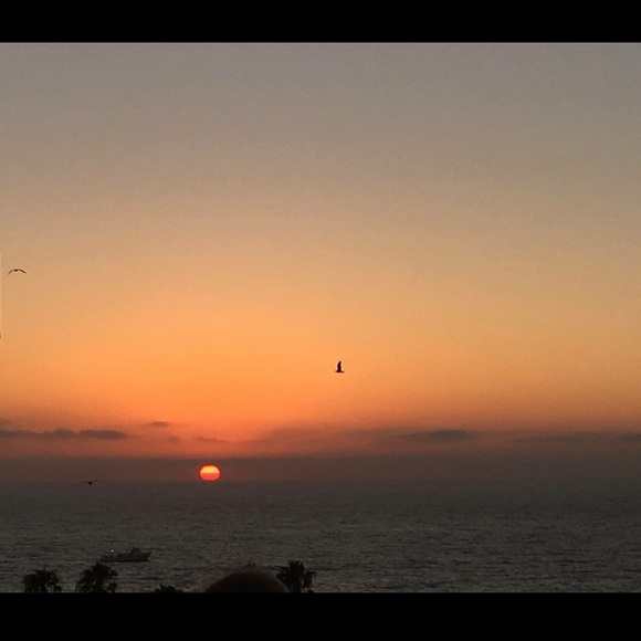 Meet your Posher, Lynn - Picture 2 of 4